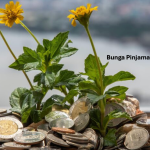 Bunga Pinjaman Adalah