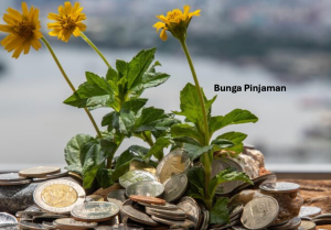 Bunga Pinjaman Adalah