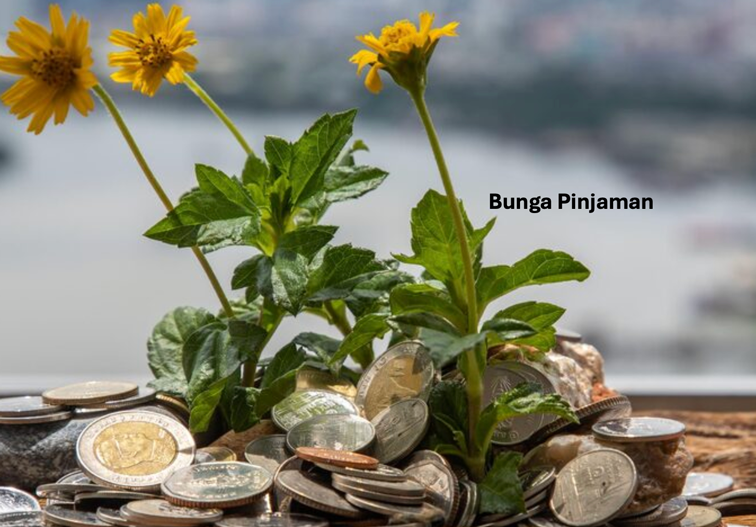 Bunga Pinjaman Adalah: Jenis, Cara Menghitung, dan Tips Pilih - BAMS